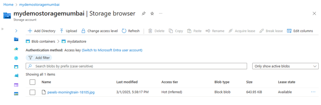View Uploaded Image to Azure blob Storage
